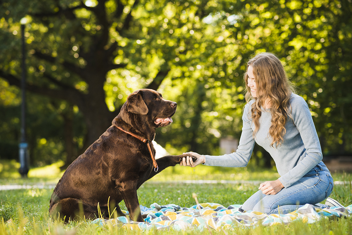 beautiful-young-woman-shaking-dog-s-paw-garden